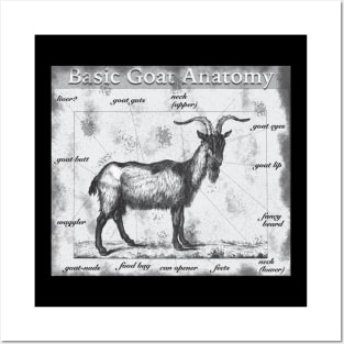 Basic Goat Anatomy Posters and Art